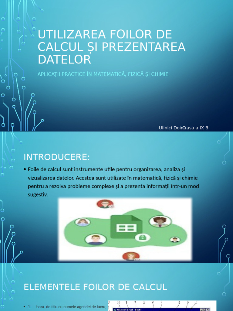 Informatică | PDF