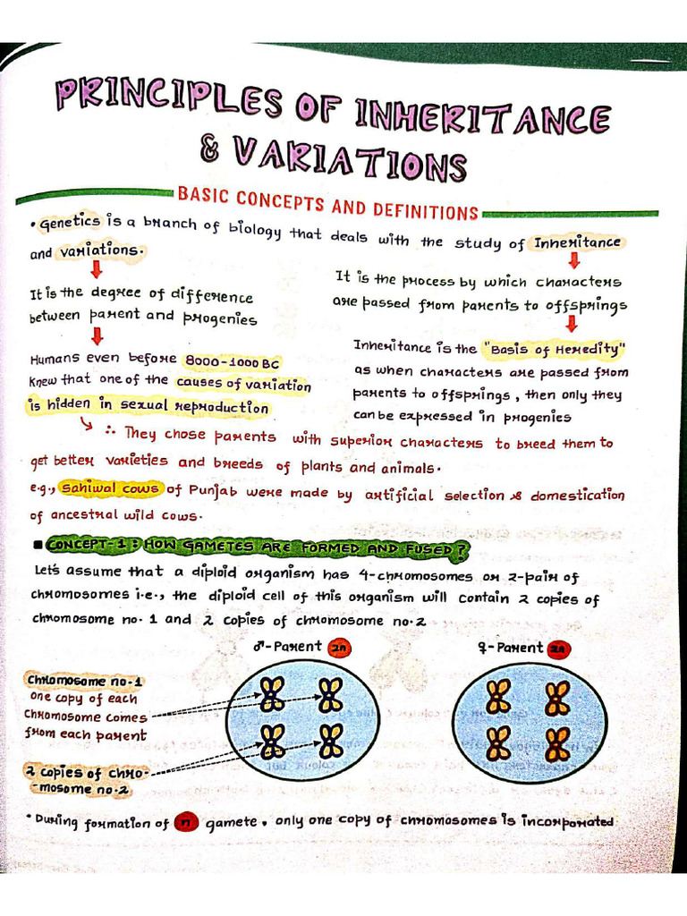 Genetics - 1 | PDF