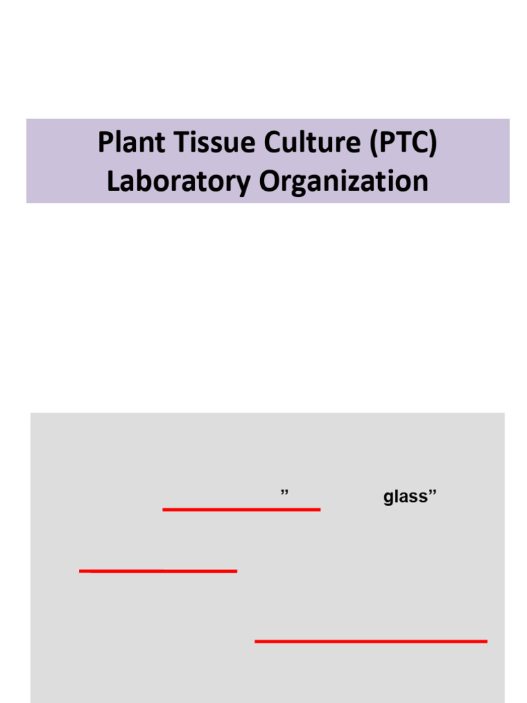 Micropropagation Techniques in PTC | PDF