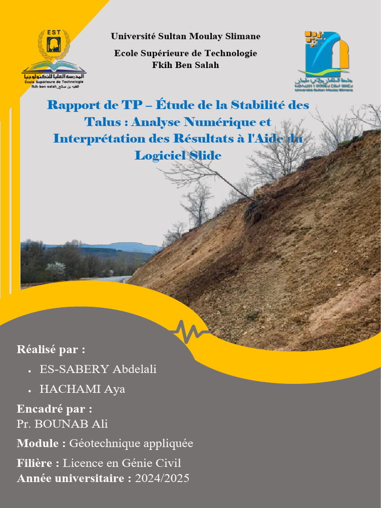 Analyse de la Stabilité des Talus avec Slide | PDF | Mécanique des sols