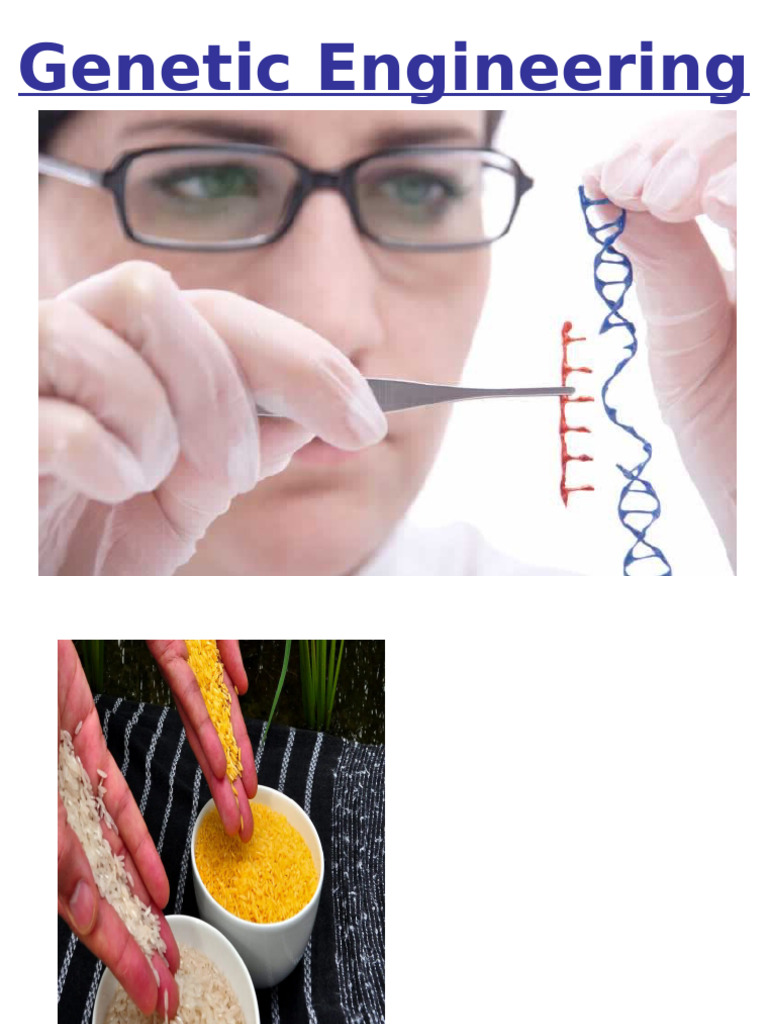 Genetic Engineering Techniques Explained | PDF | Genetic Engineering ...