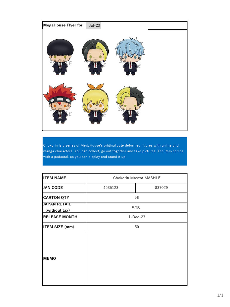 Flyer | PDF
