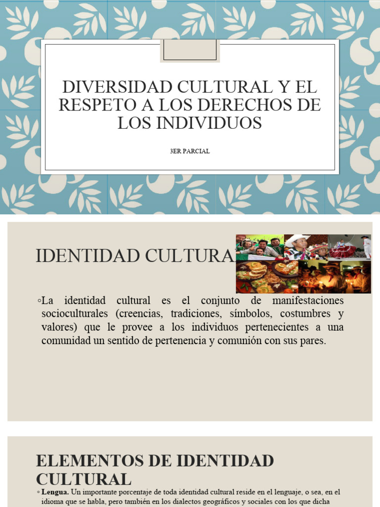 Diversidad Cultural y Derechos Humanos | PDF | Etnicidad | Educación en ...