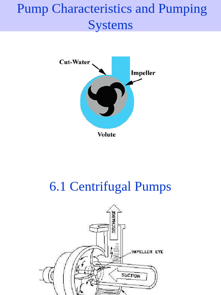 Pumping Systems Pdf Pump Applied And Interdisciplinary Physics