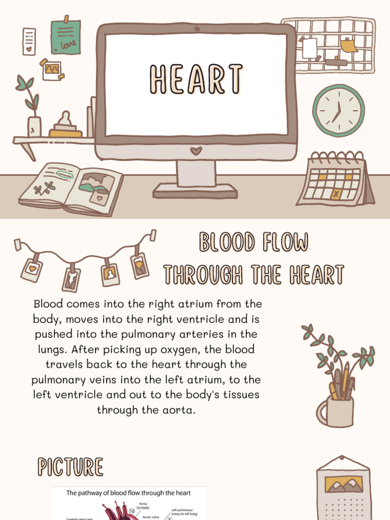 Heart | PDF