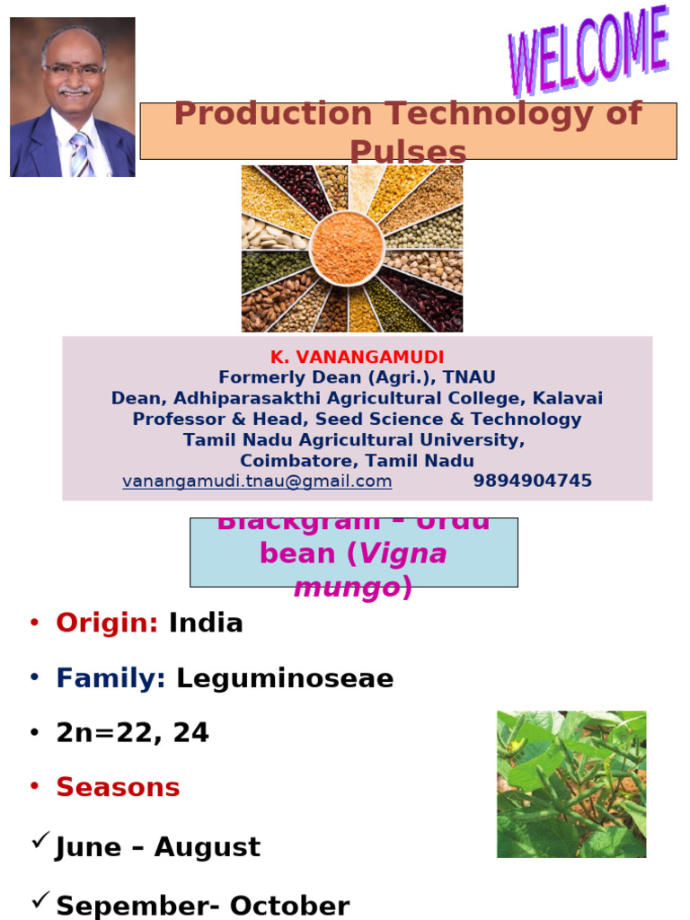 Pulse Crop Production Techniques Guide | PDF | Agriculture | Horticulture
