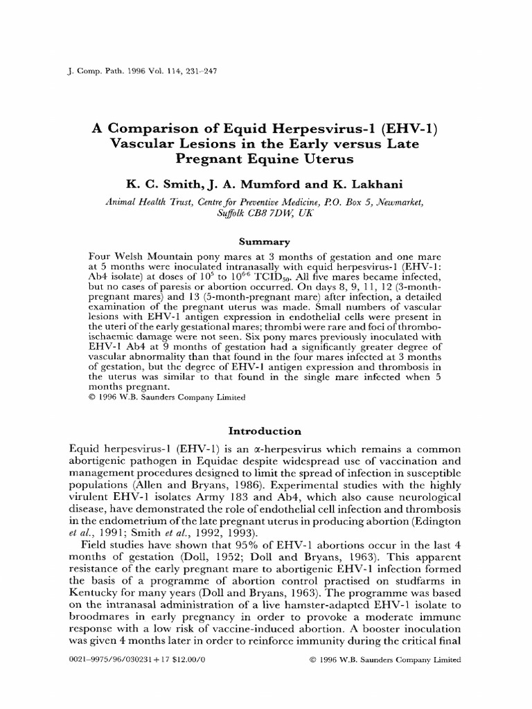 A Comparison of Equid Herpesvirus-1 (EHV-1) Vascular Lesions in The ...