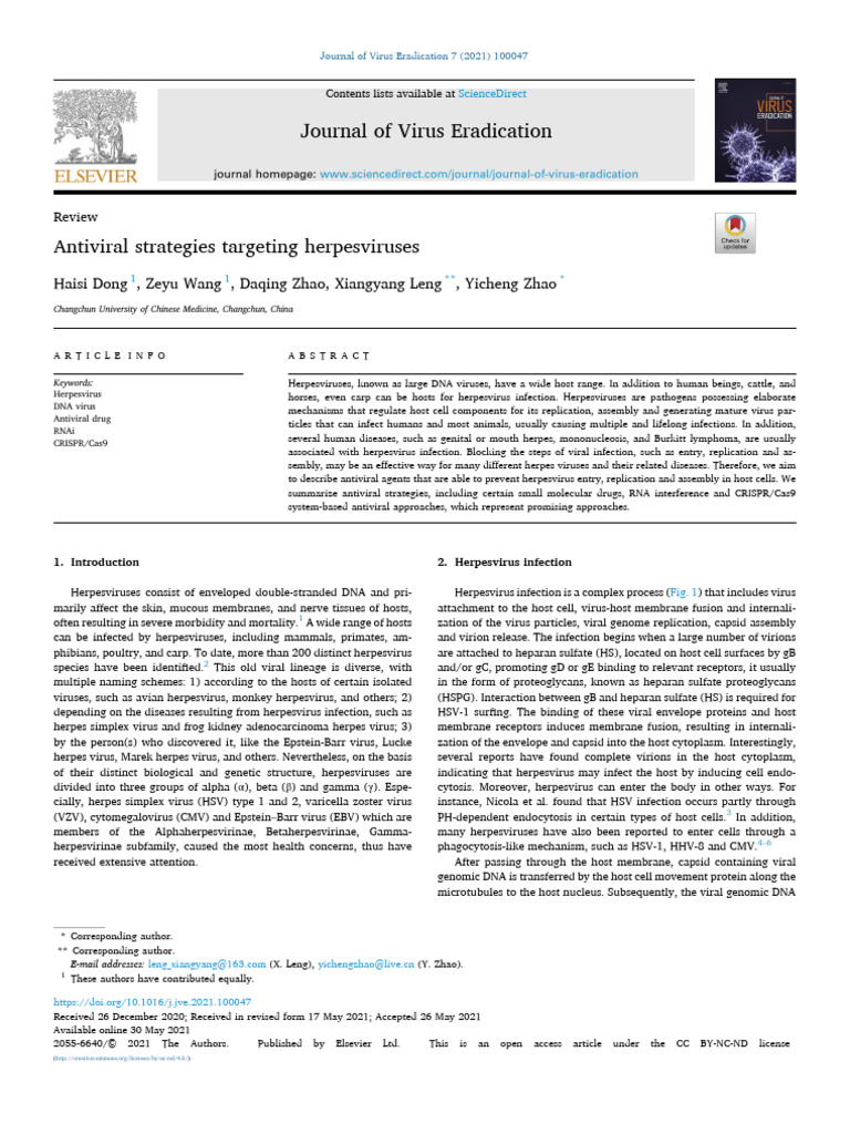 Antiviral Strategies for Herpesviruses | PDF | Virus | Antiviral Drug