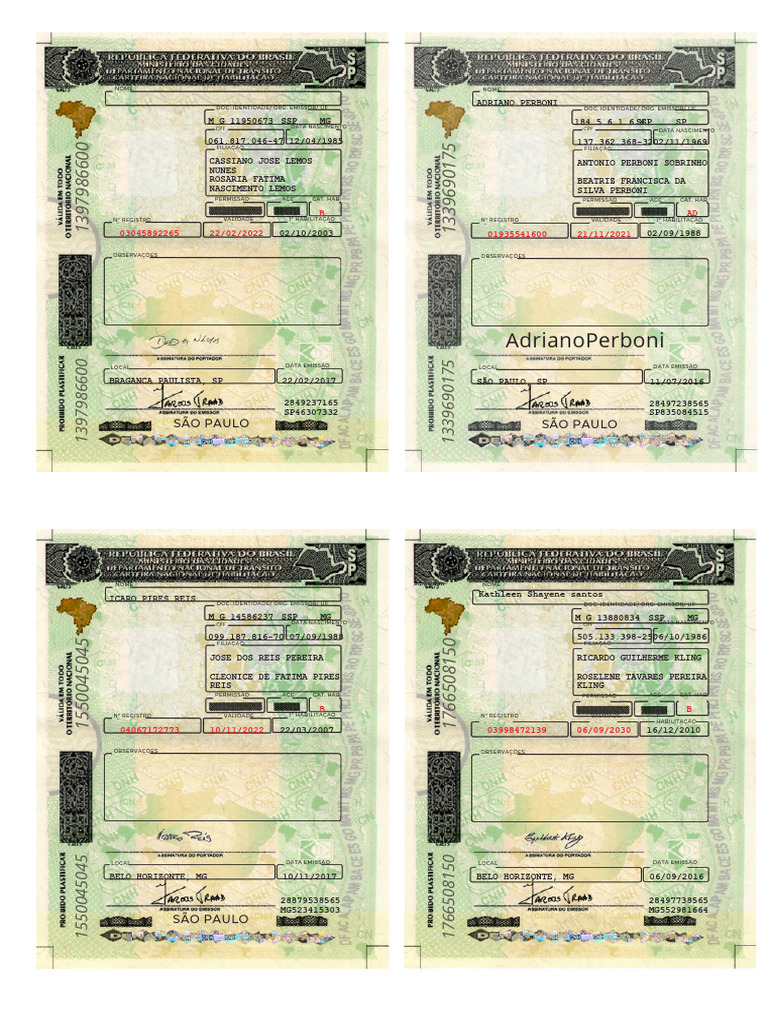 Registro de Habilitação e Identidade | PDF | Brasil