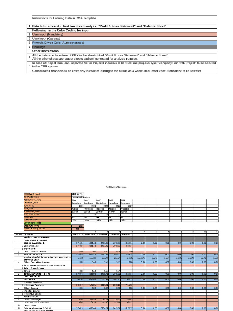 CMA Template Data Entry Guide | PDF | Dividend | Expense