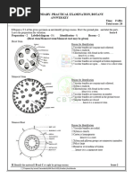 CFRA Certificate Renewal Application Form | PDF