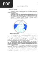 Apostila Composto Promocional