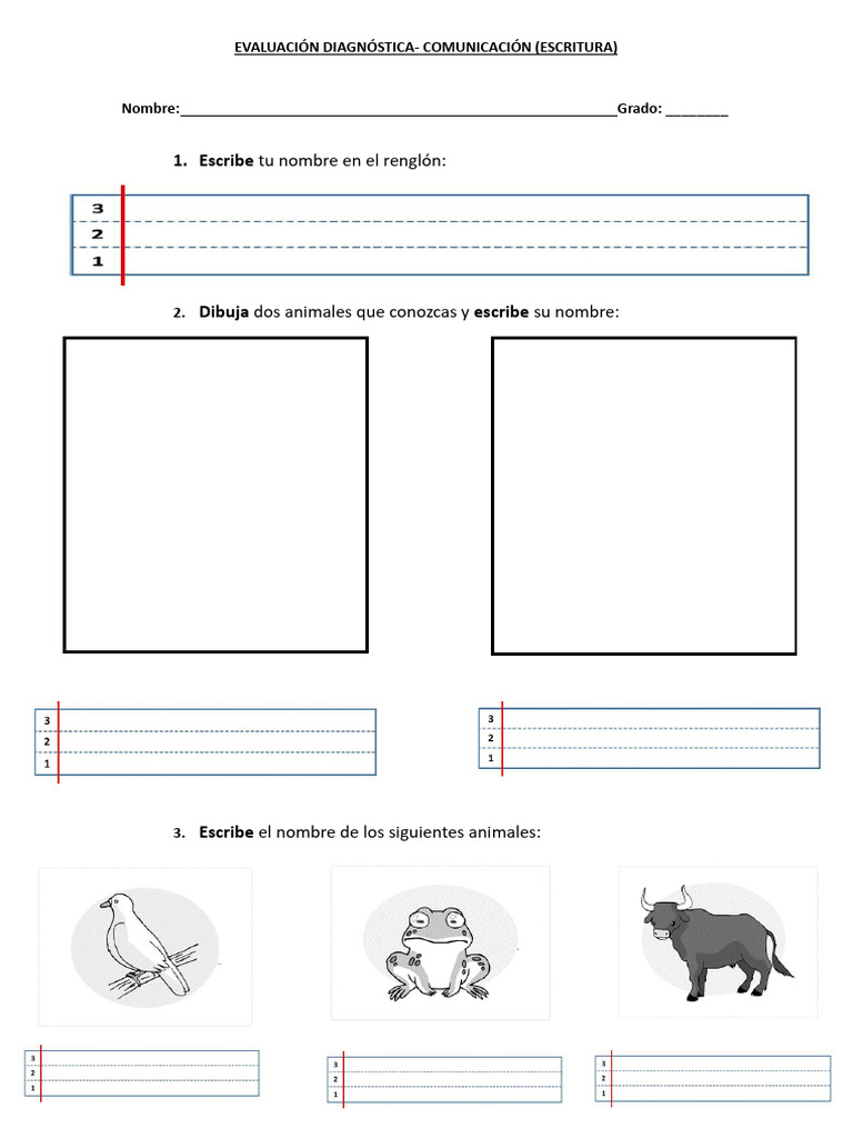 Prueba Diagnostica De Escritura 1 Pdf