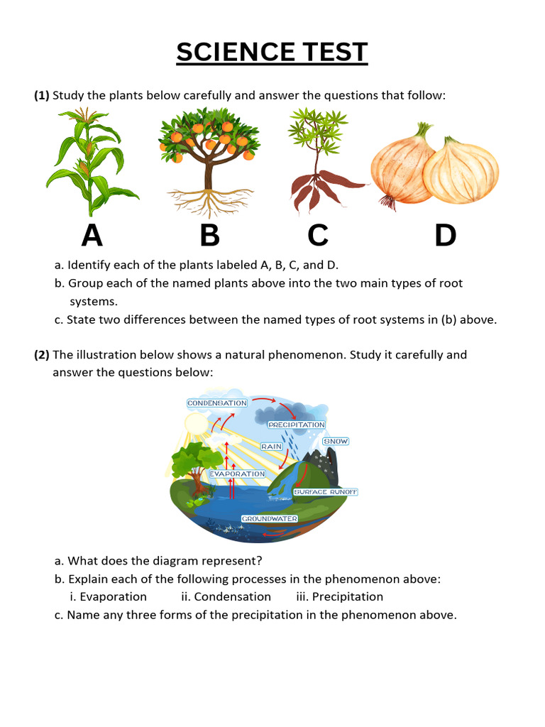 Practical Science Test | PDF