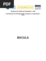 Apostila_Bacula