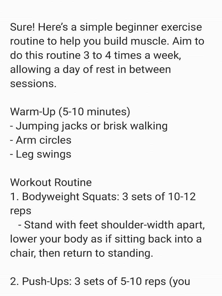 Exercise Routine - 250115 - 220704 | PDF