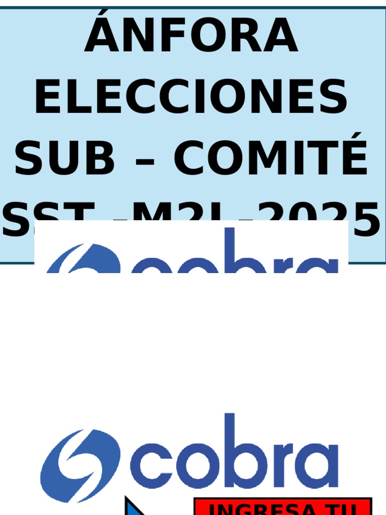 Elecciones Subcomité SST M2L 2025 | PDF