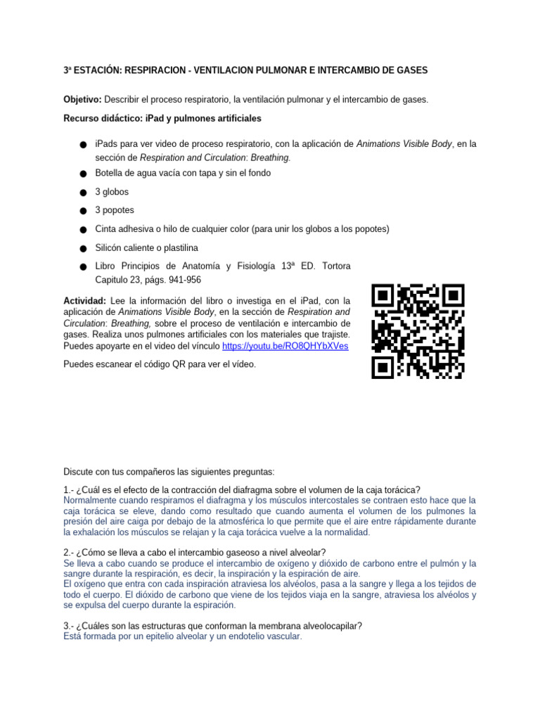 E.F. 3a ESTACIÓN PDF Sistema respiratorio