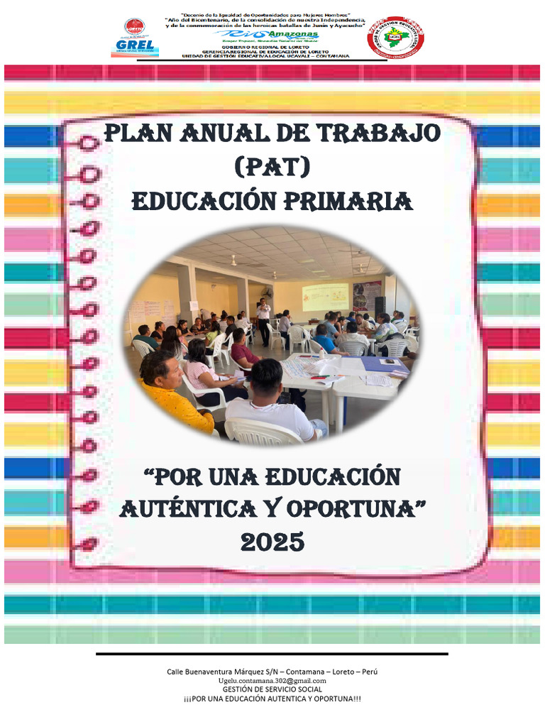 Plan Anual de Trabajo Primaria 2025 | PDF | Enseñando | Maestros