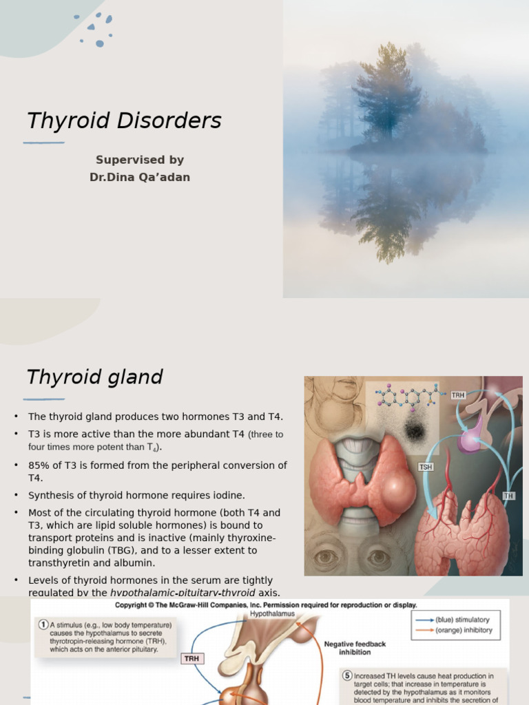 Understanding Thyroid Disorders and Hyperthyroidism | PDF ...