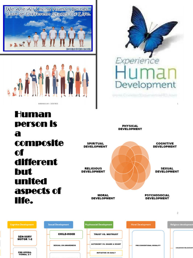 Stages of Human Development Explained | PDF | Attachment Theory ...