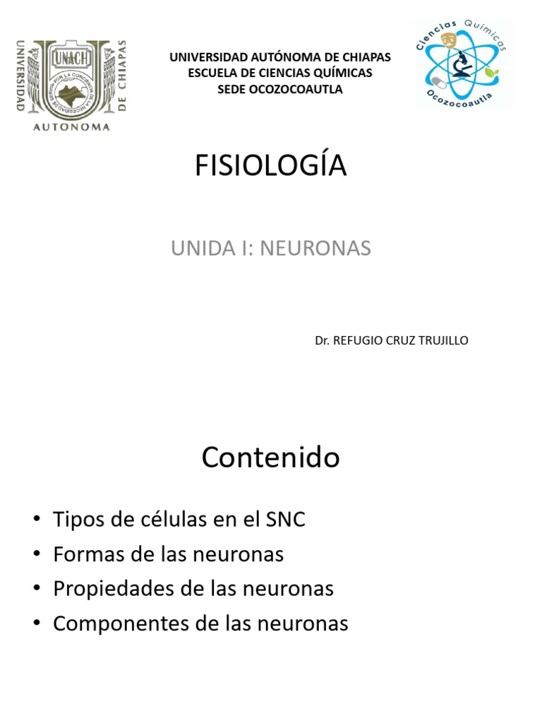 Estructura y Función de Neuronas | PDF | Sinapsis | Neurona