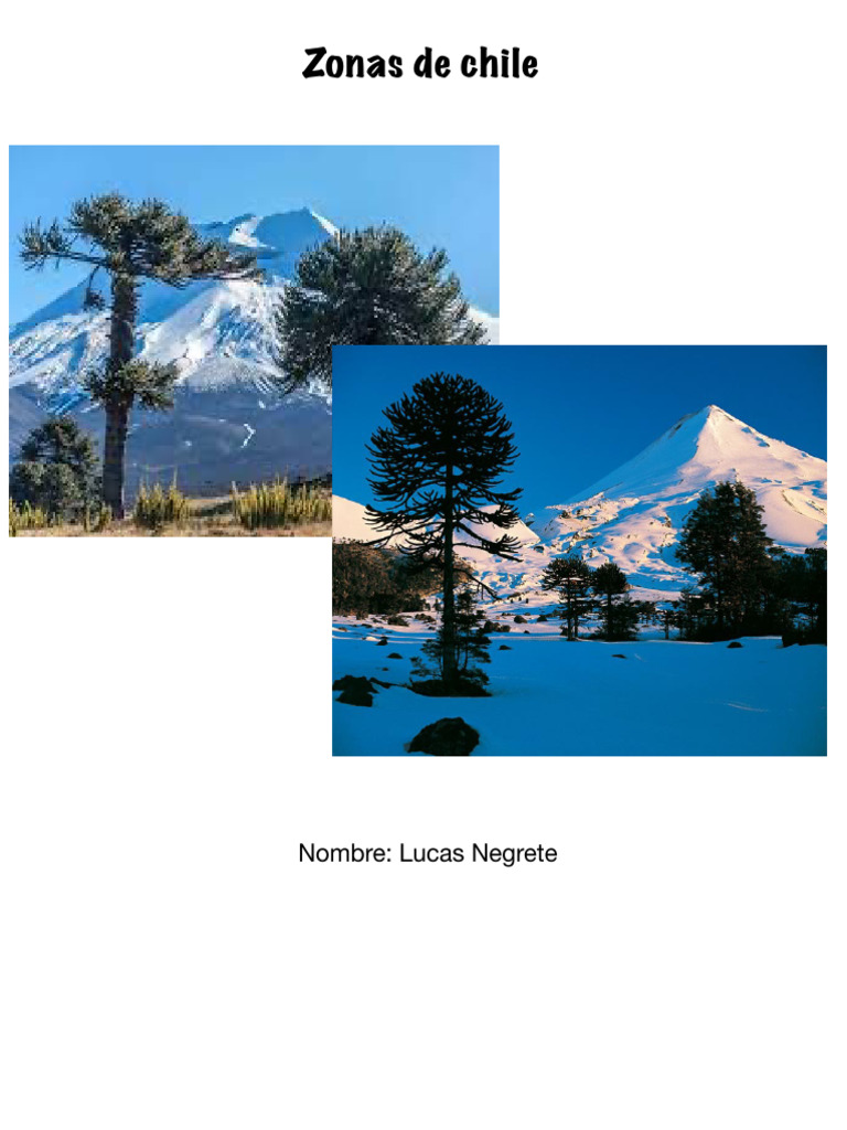 Zonas Climáticas y Vegetación de Chile | PDF | Desierto | Clima templado