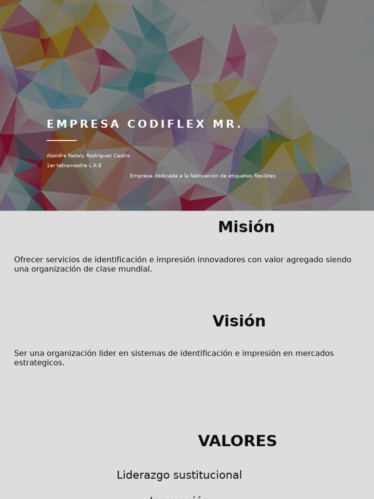 EMPRESA CODIFLEX MR Admi | PDF | Business | Marketing