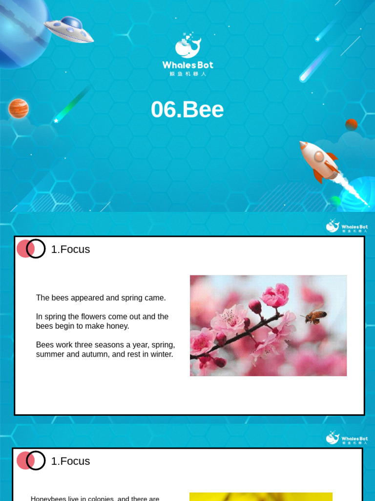 06 Bee | PDF