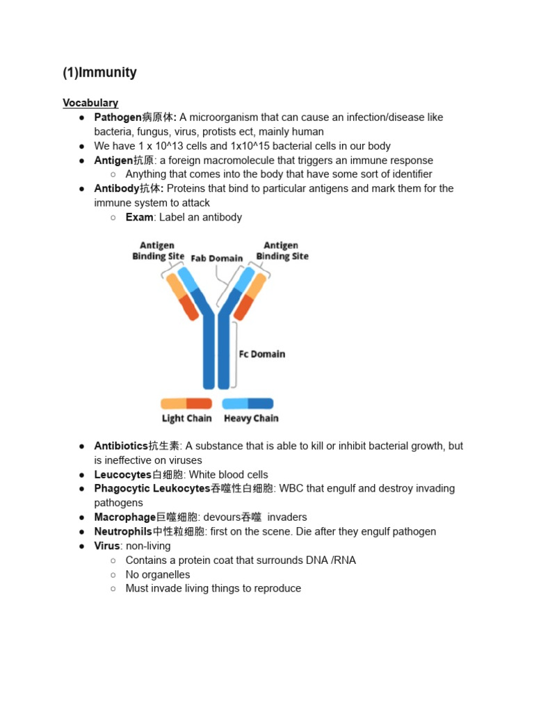 Immunity C3.2 (2) | PDF | Immune System | Major Histocompatibility Complex