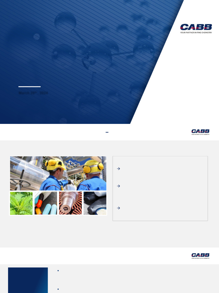 CABB Q4 2023 Investor Call Summary | PDF | Cash | Investing