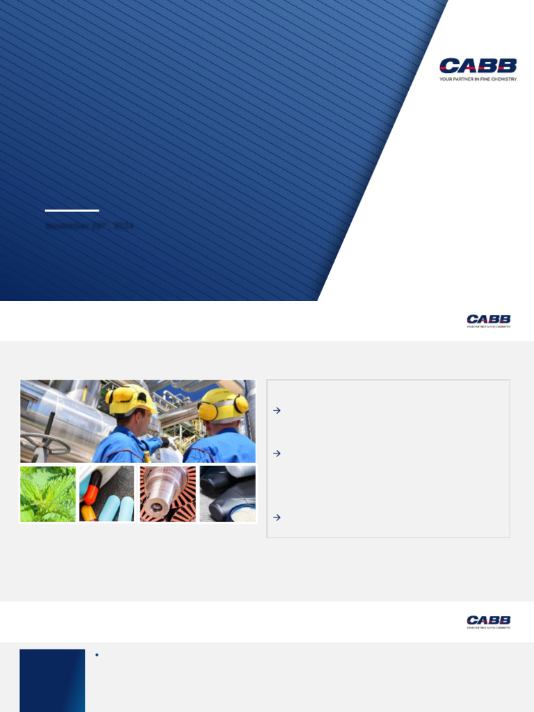CABB Group Q3 2024 IR Slides | PDF | Income | Net Income