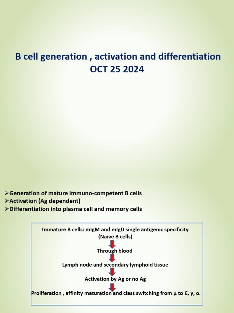 B Cell Receptor and Signaling | PDF | B Cell | Antibody