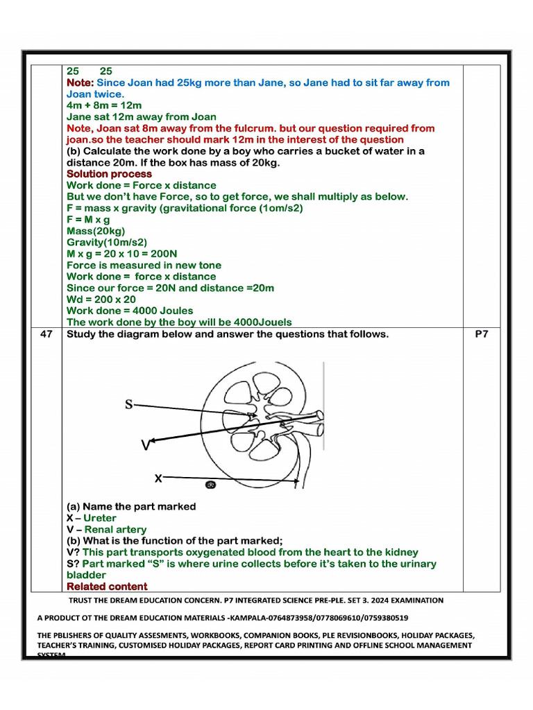 27 | PDF