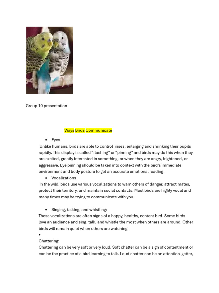 Bird pdf | PDF | Birds | Feather