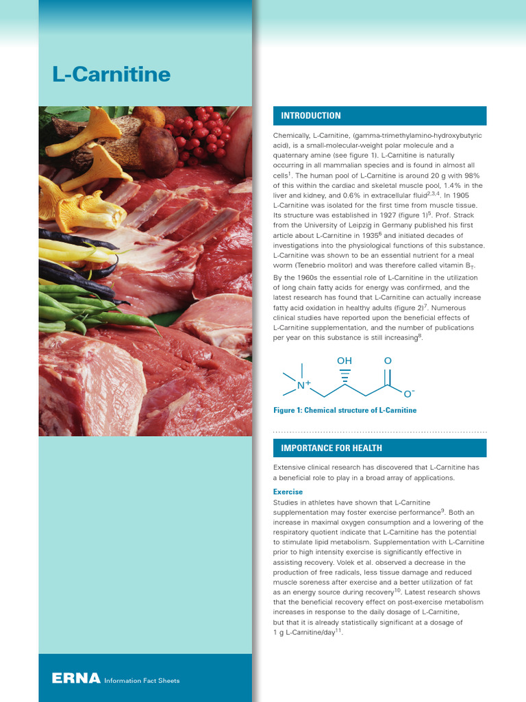 carnitine_info | PDF | Nutrients | Dietary Supplements