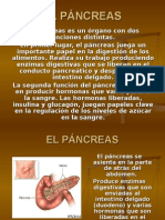 Pancreatitis Ppt