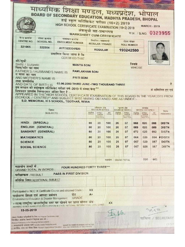 ACE Scanner Document Overview | PDF