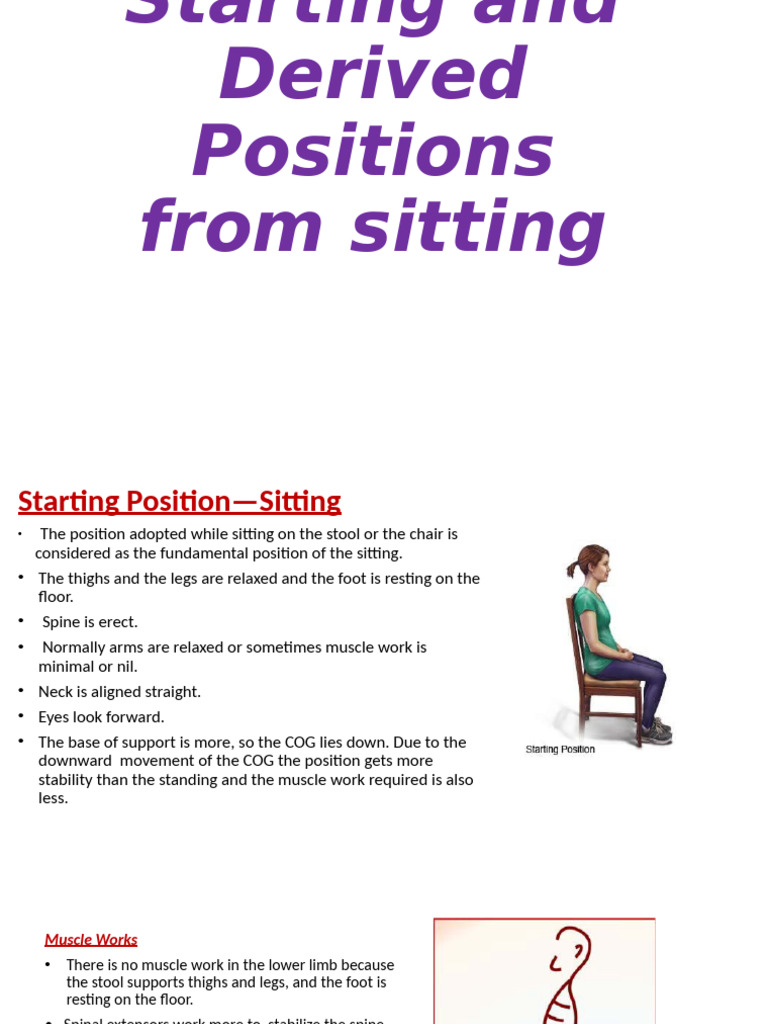 Derived Sitting Positions and Muscle Work | PDF | Anatomical Terms Of ...