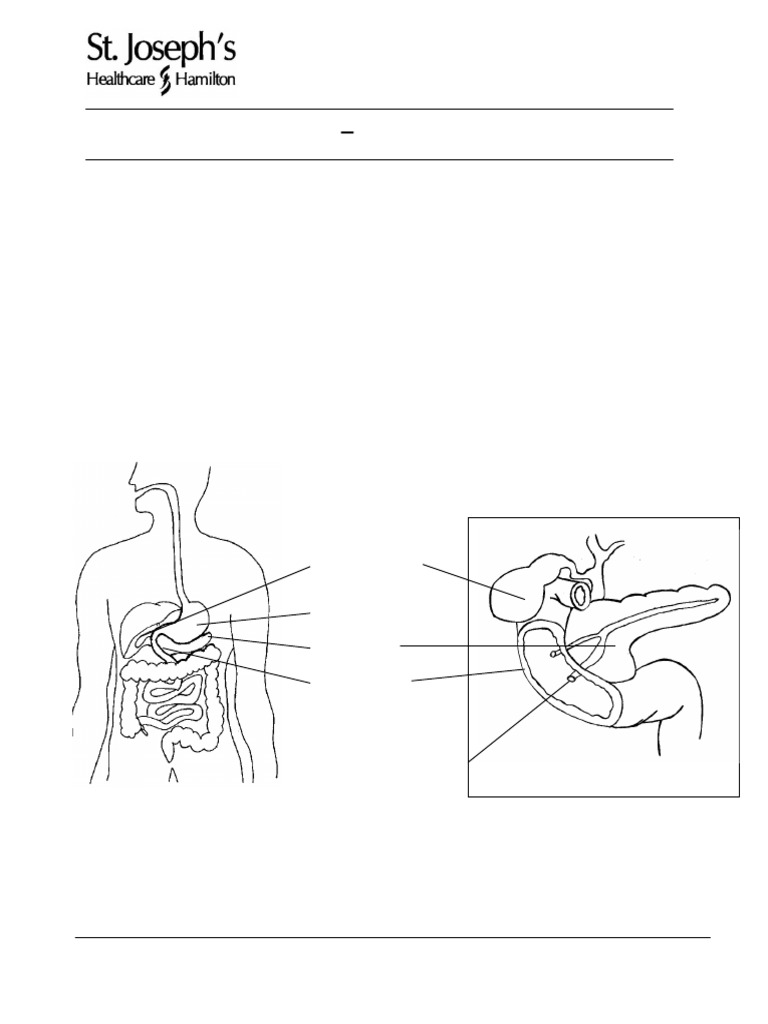 PD 4939 Pancreatitis | PDF | Pancreas | Abdomen