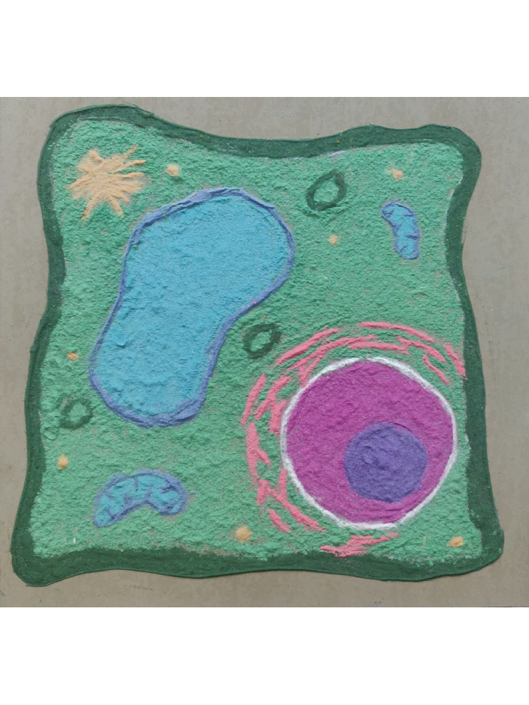 Nikitha-8c-Rangoli plant cell | PDF