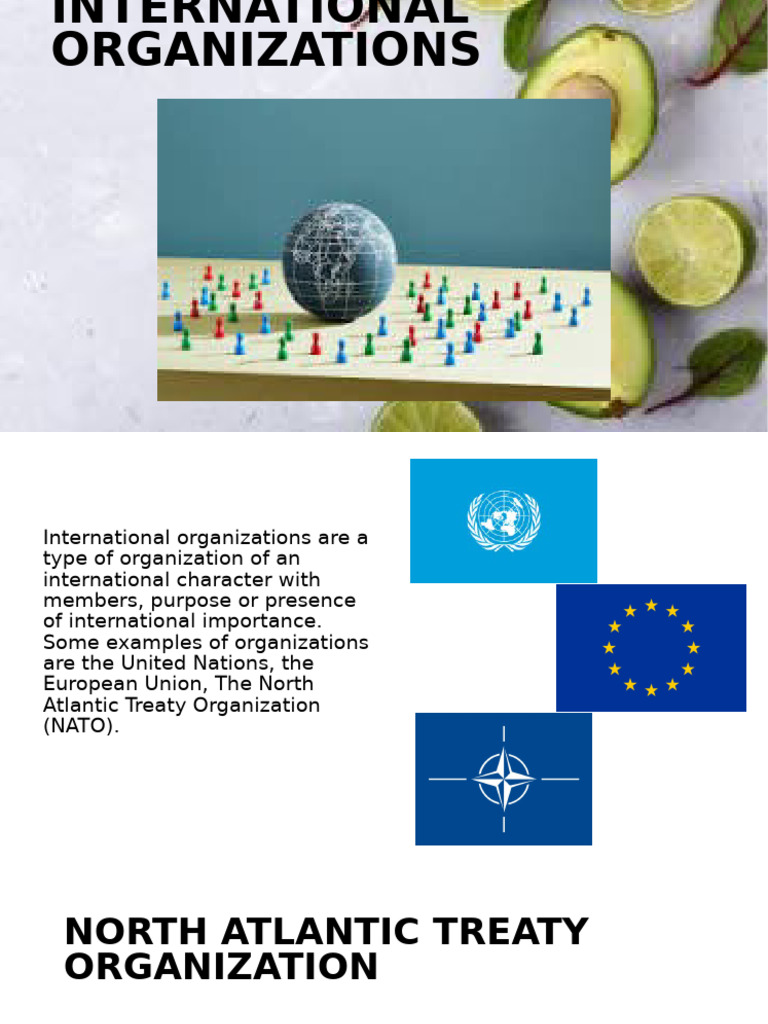 Overview of NATO's Purpose and History | PDF