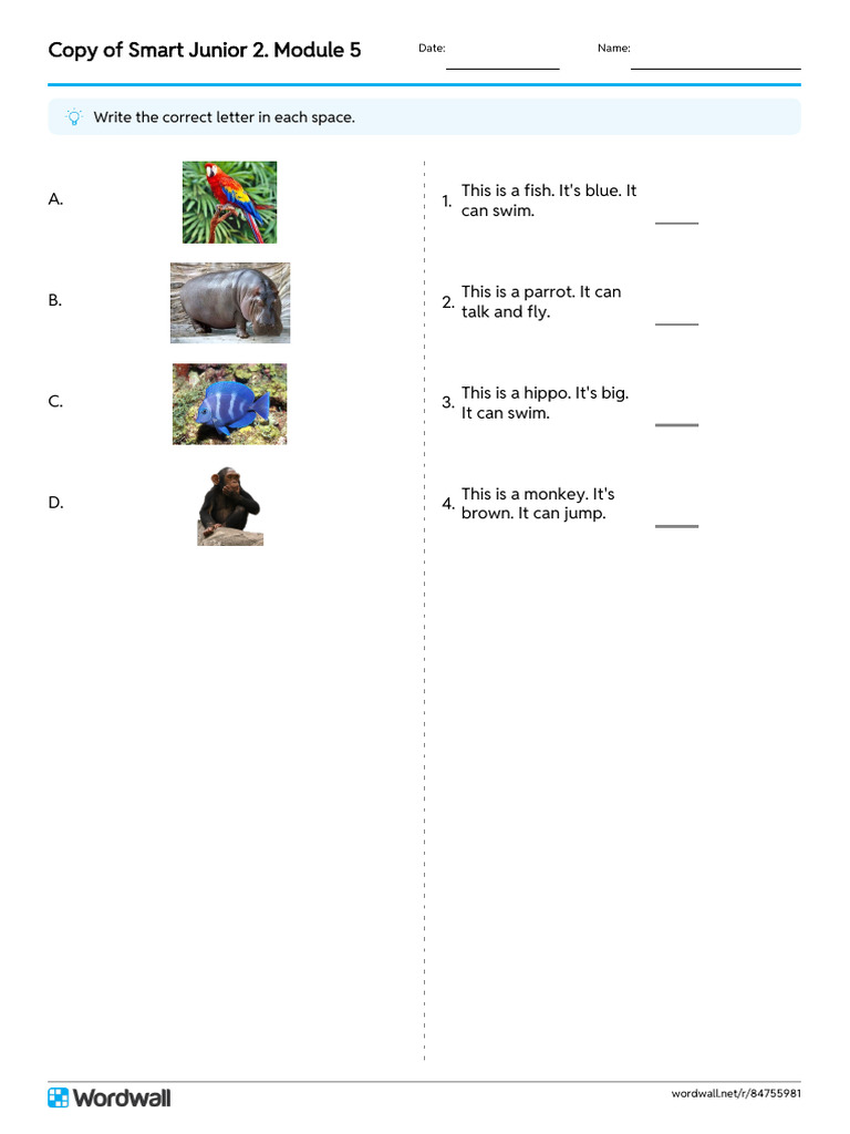 Smart Junior 2 Module 5 Match Up Write The Answer | PDF