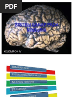 Sistem Saraf Pada Manusia