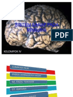 Sistem Saraf Pada Manusia