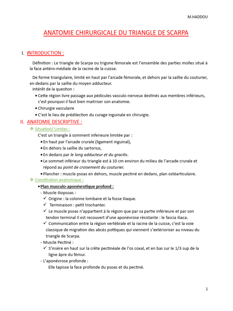 Anatomie Chirurgicale du Triangle de Scarpa | PDF | Anatomie de membre ...