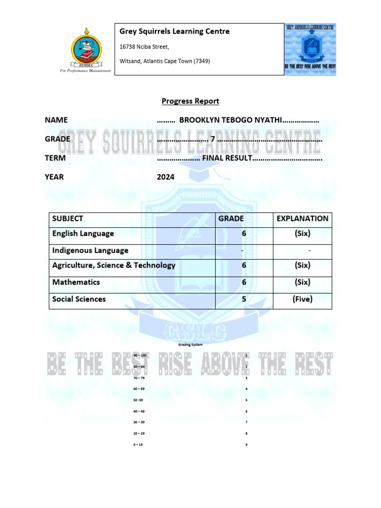 Grade 7 Progress Report 2024 | PDF