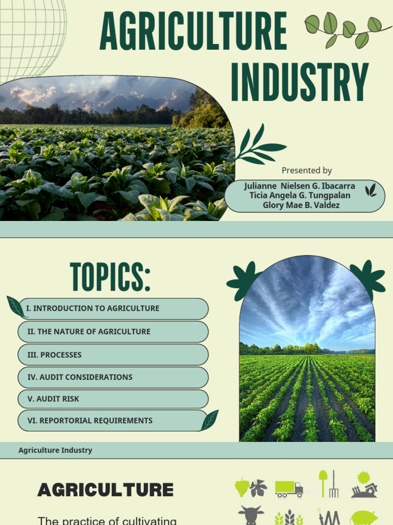AGRICULTURE INDUSTRY - PPT | PDF
