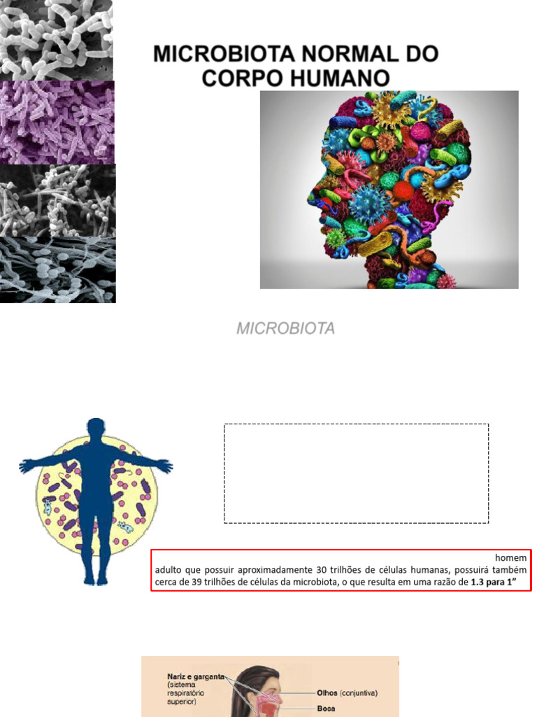 Microbiota Normal do Corpo Humano | PDF | Microrganismo | Biologia