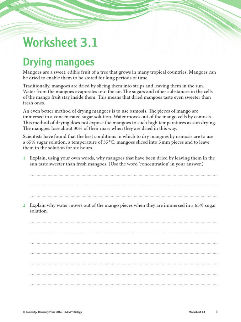 Worksheet 3 1 Pdf
